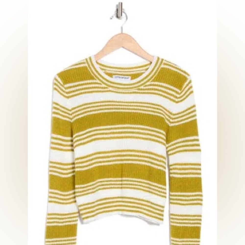 STRIPE CROP SWEATER IN SAGE MEDIUM